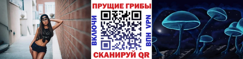 где купить   Вологда  Псилоцибиновые грибы Magic Shrooms 