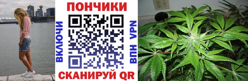 Бошки марихуана Ganja  Вологда 